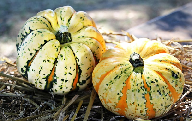 Autumn Pumpkin Decoration